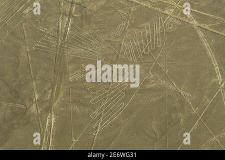 Peru, Nazca, Geolyphen, Nazca-Linien, UNESCO-Weltkulturerbe (Luftaufnahme) Stockfoto