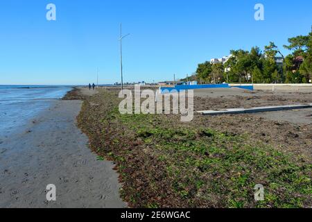 Winter an einem beliebten Strand in Grado, Friaul-Julisch Venetien, Nordostitalien. Die Algen, die den Sand bedecken, werden außerhalb der Saison nicht gereinigt Stockfoto