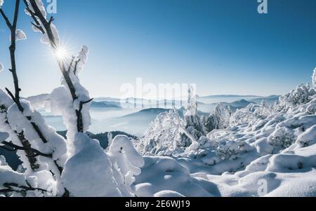 Schöne Winterlandschaft mit verschneiten Bäumen. Gefrorener Wald im Winter. Bäume bedeckt von Eis und Schnee in Skandinavien Stockfoto