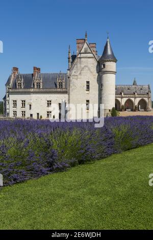 Frankreich, Indre et Loire, Amboise, Loire-Tal, UNESCO-Weltkulturerbe, Loire-Schlösser, Schloss Amboise, Innenhof und Gärten Stockfoto