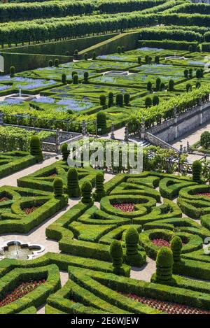 Frankreich, Indre et Loire, Villandry, Loire-Tal, UNESCO-Weltkulturerbe, Loire-Schlösser, Gärten und Schloss Villandry, die dekorativen Salons im Vordergrund, hinter Le jardin du Soleil Stockfoto