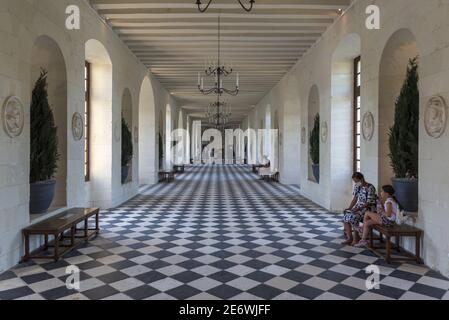Frankreich, Indre et Loire, Chenonceaux, Loire-Tal, UNESCO-Weltkulturerbe, Schloss Loire, Schloss Chenonceau Stockfoto