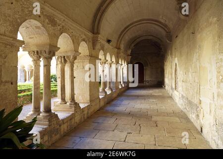 Frankreich, Bouches du Rhone, regionaler Naturpark der Alpilles, Saint Remy de Provence, Saint Paul de Mausole Kloster, wo Van Gogh lebte in 1889-1890, das Kloster Stockfoto