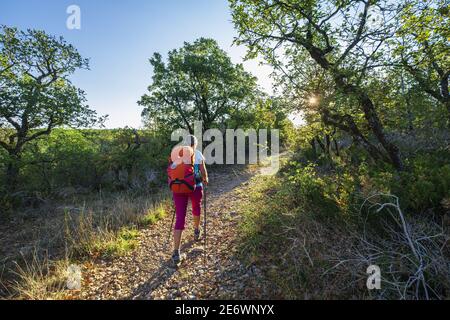 Frankreich, Lot, Umgebung von Cajarc, Wanderung auf der Via Podiensis, einer der Pilgerwege nach Santiago de Compostela oder GR 65 Stockfoto