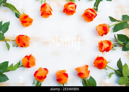 Orange Rosen in einem Kreis auf weiß. Illustration Malerei Hintergrund Stockfoto