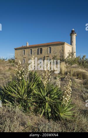 Frankreich, Bouches-du-Rh?ne (13), Provence-Alpes-C?te-d'Azur, Sainte Marie de la mer, Arles, regionaler Naturpark der Camargue, Biosphärenreservat (UNESCO), Beauduc, Leuchtturm Beauduc Stockfoto