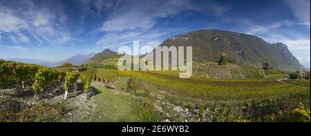 Frankreich, Savoyen, Chambery Club, Panoramablick auf die Weinberge von Chignin und den Felsen von Tormery im Massiv der Bauges Stockfoto