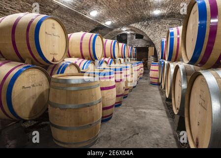 Frankreich, Saone et Loire, Bouzeron, Domaine Chanzy, die Keller Stockfoto