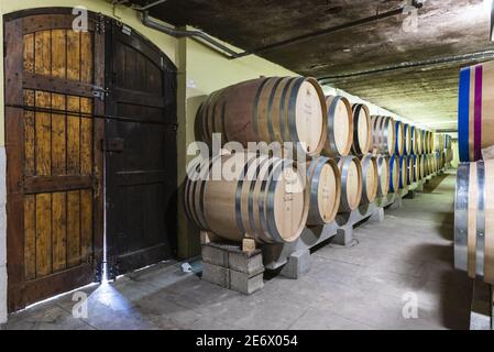 Frankreich, Saone et Loire, Bouzeron, Domaine Chanzy, die Keller Stockfoto