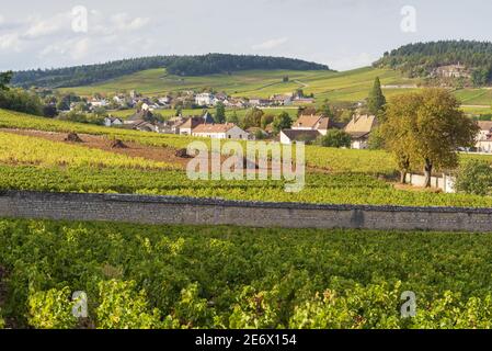 Frankreich, Saone et Loire, Mercurey, Mercurey Weinberg Stockfoto