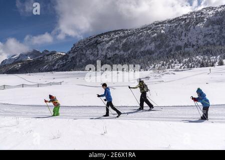Frankreich, Haute Savoie, Faucigny, Brison, Plateau de Solaison, Familie praktiziert Langlauf Stockfoto