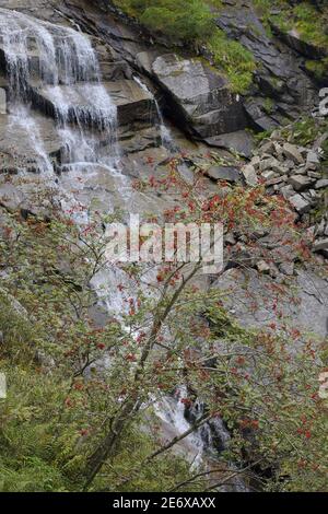 Frankreich, Ariege, Couserans Region, Mont Valier Trek, Nerech Wasserfall Stockfoto