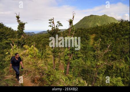 Karibik, Dominica Island, Castle Bruce, Morne Trois Pitons National Park als Weltkulturerbe der UNESCO, Wanderer auf dem Weg durch den Regenwald zum Desolation Valley und dann zum Boiling Lake Stockfoto