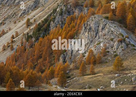 Frankreich, Hautes Alpes, Ubaye, Saint Cr?PIN, Lauzet-Tal Stockfoto