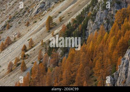 Frankreich, Hautes Alpes, Ubaye, Saint Cr?PIN, Lauzet-Tal Stockfoto