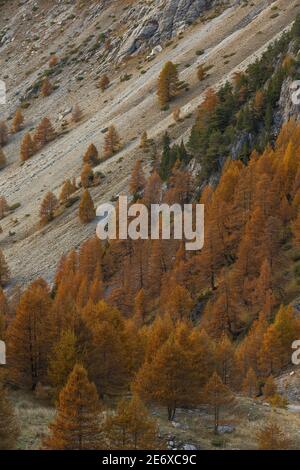 Frankreich, Hautes Alpes, Ubaye, Saint Cr?PIN, Lauzet-Tal Stockfoto