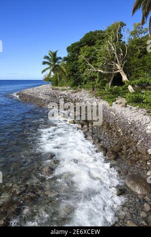 Karibik, Dominica Island, Portsmouth, Prince Rupert Bay, Kieselstrand Stockfoto