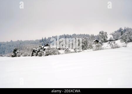 Winterlandschaft im Dorf Urdorf in der Schweiz. Bäume und Sträucher sind mit Schnee bedeckt, mit bewölktem Himmel oben und gefrorenem Feld im Vordergrund. Stockfoto