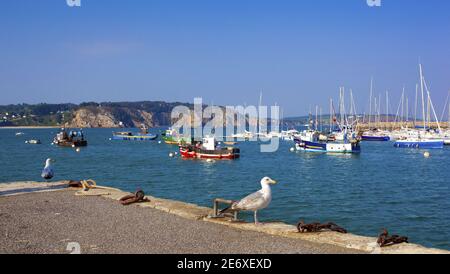 Frankreich, Finist?re (29), Presqu'?le de Crozon, le Port de Morgat Stockfoto