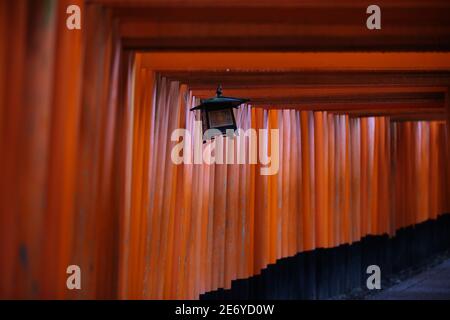 Der rote Torii-Tor-Gehweg am fushimi inari taisha-Schrein ist eines der Wahrzeichen für Touristen in Kyoto, Japan 11 14 2019 Stockfoto