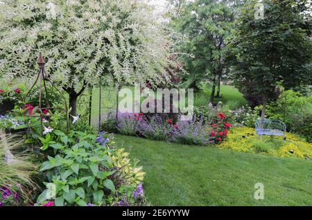 Ruhige Szene einer japanischen Zierweide, in voller Blüte mit Rosen, Minze, Hortensien in einem Garten im Mittleren Westen. Stockfoto