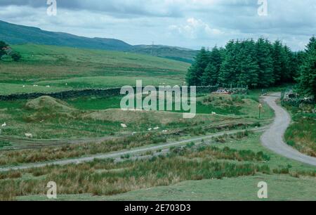 Ruinen der römischen Festung Tomen y Mur in Snowdonia, Wales. Amphitheater. Archivscan von einem Dia. Juli 1977. Stockfoto