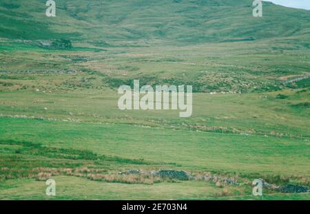 Ruinen der römischen Festung Tomen y Mur in Snowdonia, Wales. Paradegelände. Archivscan von einem Dia. Juli 1977. Stockfoto