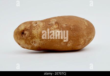 Nahaufnahme einer Zwieback-Kartoffel vor weißem Hintergrund Stockfoto