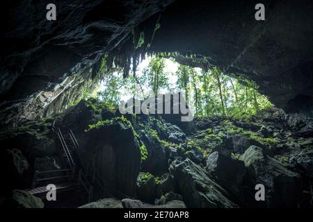 Eingang, Clearwater Cave, Mulu, Malaysia Stockfoto