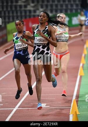 Karlsruhe, Deutschland. Januar 2021. Leichtathletik: Halle, Internationales Treffen der World Indoor Tour in der Europahalle. Leichtathletik: Halle, Internationales Treffen der World Indoor Tour in der Europahalle. Beatrice Chepkoech (M) (Kenia) gewinnt die 3000 Meter der Frauen. Quelle: Uli Deck/dpa-Pool/dpa/Alamy Live News Stockfoto