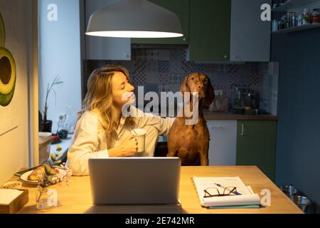 Frau im Schlafanzug sitzt mit Hund auf Stuhl in der Küche, Tee trinken. Gemächlicher Morgen zu Hause Stockfoto