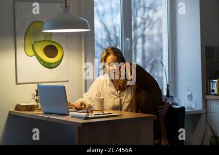 Frau im Schlafanzug im Gespräch mit Hund, sitzt auf dem Stuhl in der Küche Zimmer, Remote-Arbeit am Laptop Stockfoto