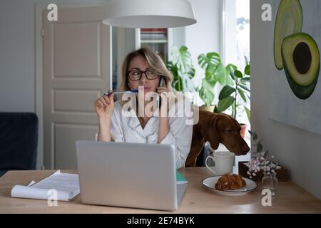 Seriöse Frau im Schlafanzug sitzt mit Hund zu Hause, nehmen auf Handy, Remote-Arbeit am Laptop Stockfoto