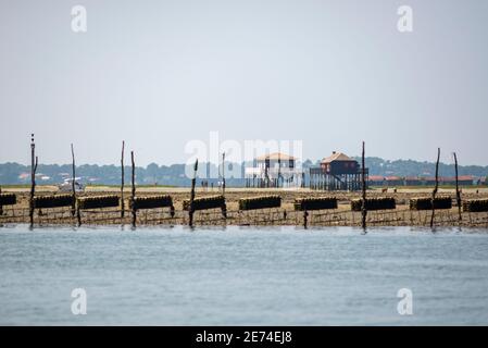 Austernzucht im Bassin d'Arcachon, Gironde, Frankreich, Europa. Ebbe im Atlantik, Cabanes tchanquées im Hintergrund Stockfoto