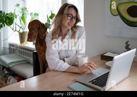 Frau im Schlafanzug sitzt mit Vizsla Hund auf dem Stuhl im Wohnzimmer, Remote-Arbeit am Laptop Stockfoto