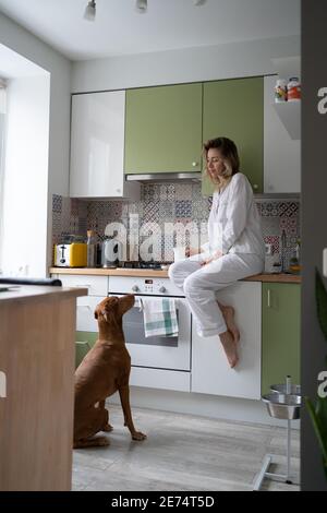 Frau im Pyjama sitzt in der Küche, Tee zu Hause trinken, Hund betrügt und gibt vor, hungrig zu sein. Stockfoto