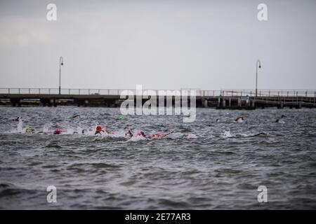 Melbourne, Australien. Januar 2021. Triathleten, die während der 2XU Triathlon Series 2021, Rennen 1 am St. Kilda Beach, im Schwimmbein Rennen. Kredit: SOPA Images Limited/Alamy Live Nachrichten Stockfoto