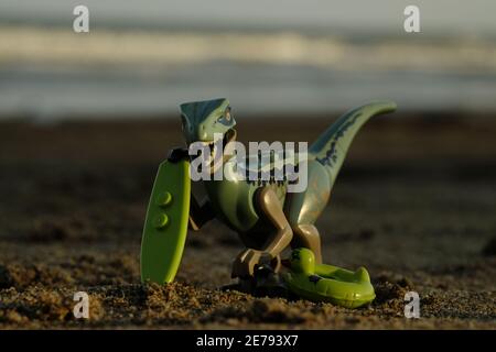 Indonesien, September 01 2018. LEGO Raptor im Urlaub, Sand spielen, schwimmen und surfen. LEGO Minifiguren werden von der Lego Group hergestellt Stockfoto