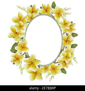 Handgezeichnetes Aquarell runden ovalen Rahmen Vorlage Design-Element mit exotischen botanischen Dschungel Pflanze elegante gelbe Plumeria frangipani Blume grüne Blätter. Für Labels Spa Entspannung Banner Einladung Stockfoto