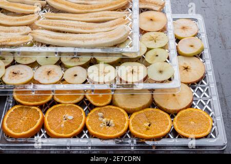 In Scheiben geschnittene Äpfel, Birnen, Orangen und Bananen auf Kunststoffschalen zum Trocknen in einem elektrischen Trocknungsgerät Stockfoto