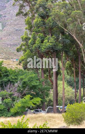 Algerien Wilderness Area, Südafrika - Chalet Familienunterkunft in diesem beliebten Erholungsziel in der Western Cape Stockfoto