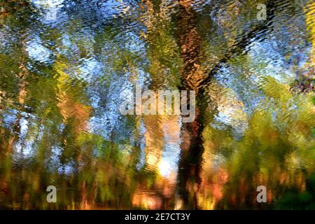 Frankreich, Aquitaine, in einem Park in der Nähe von Arcachon, die Reflexionen der Vegetation in einem Fluss, das Licht Schauer des Wassers gibt einen Effekt der Malerei. Stockfoto