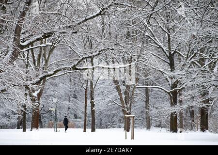 Berlin, Deutschland. Januar 2021. Der Zoo ist von Neuschnee bedeckt Credit: Fabian Sommer/dpa/Alamy Live News Stockfoto