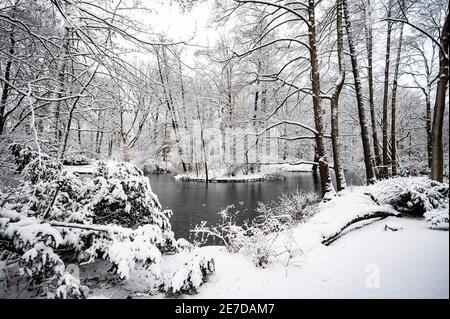 Berlin, Deutschland. Januar 2021. Der Zoo ist von Neuschnee bedeckt Credit: Fabian Sommer/dpa/Alamy Live News Stockfoto