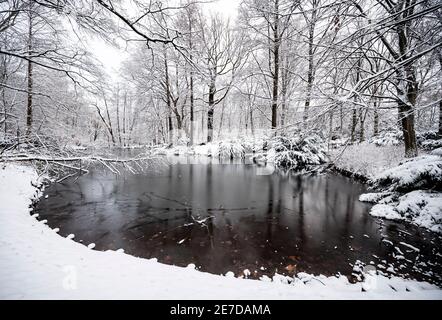 Berlin, Deutschland. Januar 2021. Der Zoo ist von Neuschnee bedeckt Credit: Fabian Sommer/dpa/Alamy Live News Stockfoto