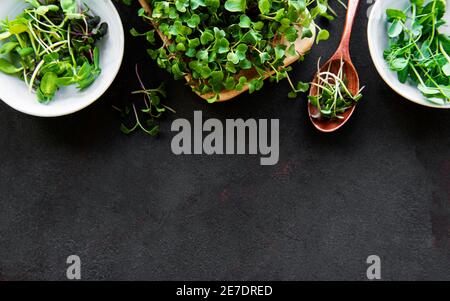 Auswahl an Micro Greens auf schwarzem Hintergrund, Kopierfläche, Draufsicht. Gesunder Lebensstil Stockfoto