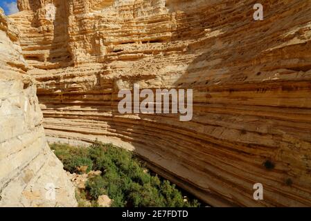 Landschaftlich reizvolle Klippen der Schlucht ein Avdat (ein Ovdat) in Israel Stockfoto