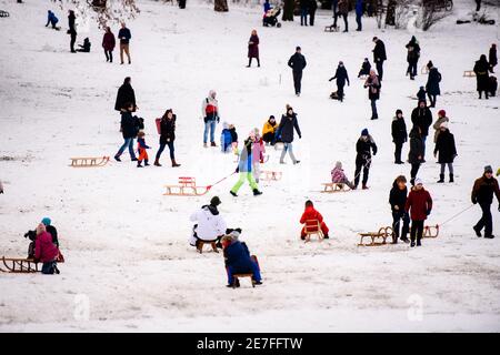 Berlin, Berlin, Deutschland. Januar 2021. Trotz der bestehenden Kontaktbeschränkungen aufgrund der anhaltenden globalen Covid-19-Pandemie genießen viele Menschen und Familien den Neuschnee im Volkspark SchÃ¶neberg-Wilmersdorf. Quelle: Jan Scheunert/ZUMA Wire/Alamy Live News Stockfoto