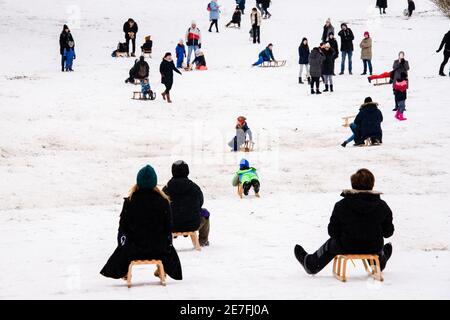 Berlin, Berlin, Deutschland. Januar 2021. Trotz der bestehenden Kontaktbeschränkungen aufgrund der anhaltenden globalen Covid-19-Pandemie genießen viele Menschen und Familien den Neuschnee im Volkspark SchÃ¶neberg-Wilmersdorf. Quelle: Jan Scheunert/ZUMA Wire/Alamy Live News Stockfoto