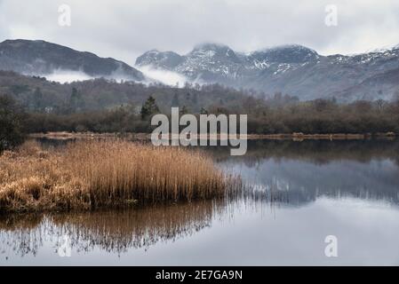 Episches dramatisches Landschaftsbild mit Blick über den Fluss Brathay im See Bezirk in Richtung Langdale PIKS Bergkette auf mistry Winter Morning Stockfoto